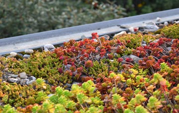 the cost of Westington green roof installation