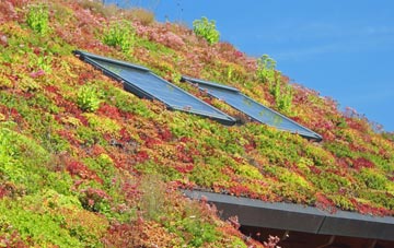 Westington living roof systems